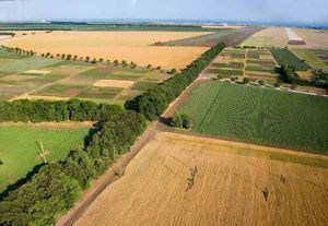 Приобретение земельного участка в собственность для сельскохозяйственных нужд — Юридические советы